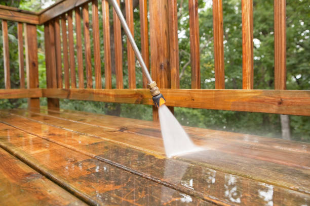 Best Best Pressure Washing Companies  in Thoreau, NM